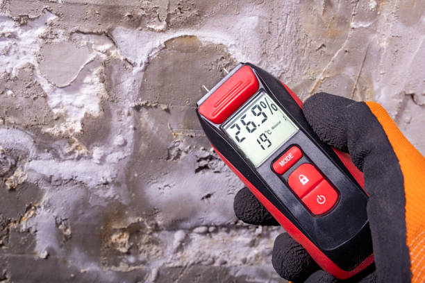 Best Best Mold Removal Companies  in Whispering Pines, NC