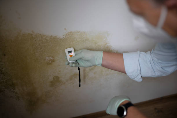 Best Mold Testing  in Whispering Pines, NC