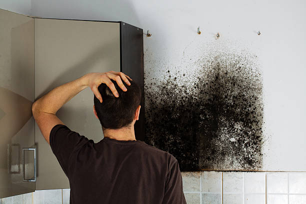 Best Certified Mold Removal  in Whispering Pines, NC